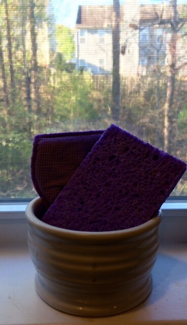 Clean Mold off Sponges | Mold Free Living
