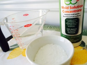 Vinegar, baking soda, and EC3 Mold Solution Concentrate are my go-to ingredients.