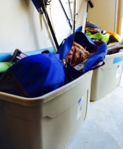 We even store sports equipment in plastic bins in our garage.
