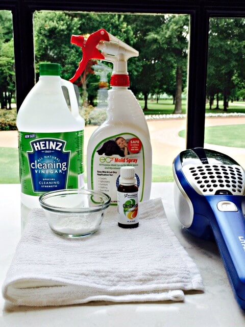 Upholstery Cleaning tools