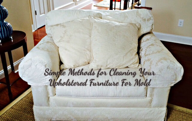 Treat And Clean Upholstery For Mold, How To Get Mold Out Of Cloth Furniture