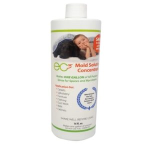 Product-EC3-Mold-Solution-__68766.1519854883